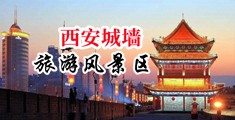 亚洲一区二区啪啪啪视频中国陕西-西安城墙旅游风景区